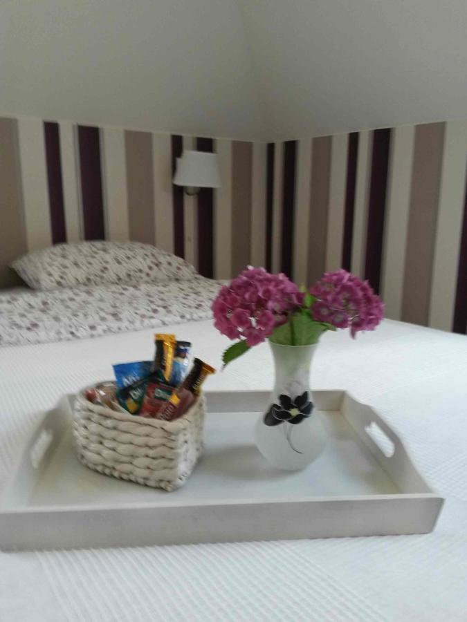 B&B Kamelia Коморники Екстер'єр фото